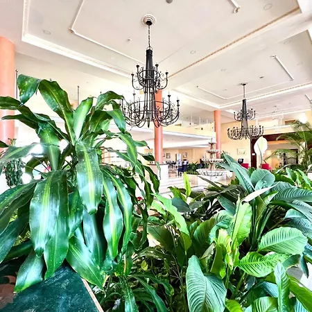 Junior With Pool Or Sea View, Wifi And Heated Pool Apartment *